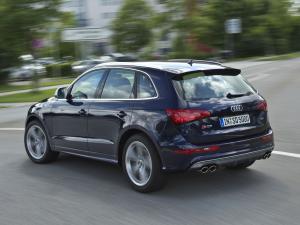 Audi SQ5 TDI 2013 года  (WW)